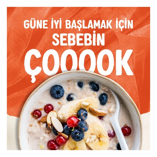 Alpro Şekersiz Yulaf Sütü 1 Lt - Görsel 4