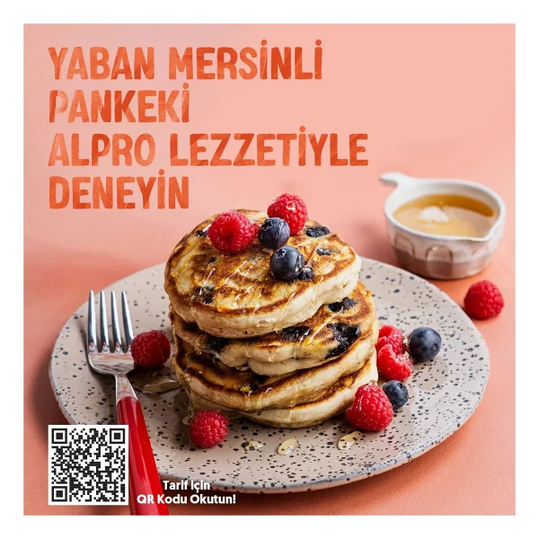 Alpro Şekersiz Yulaf Sütü 1 Lt - Görsel 9