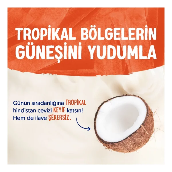 Alpro Şekersiz Hindistan Cevizi Sütü 1 Lt - Görsel 3
