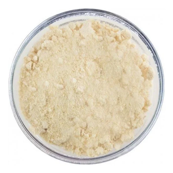 Soğan Tozu 1 Kg - Görsel 2