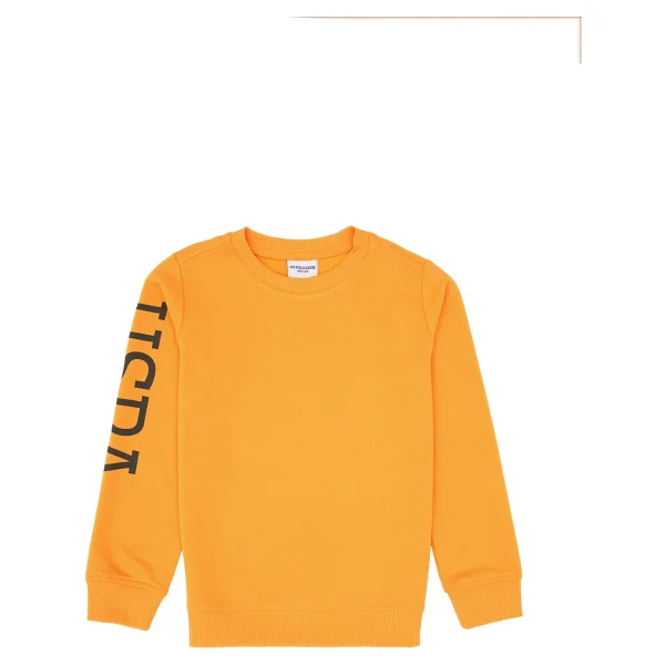 U.S. Polo Assn 50313831-Vr244 Sarı Çocuk Sweatshirt - Görsel 3