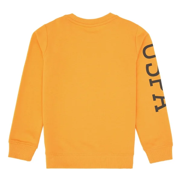 U.S. Polo Assn 50313831-Vr244 Sarı Çocuk Sweatshirt - Görsel 4