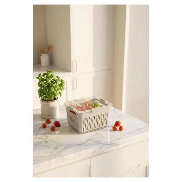 Selka Home Lavin 2 Lt Saklama Kabı - Görsel 4