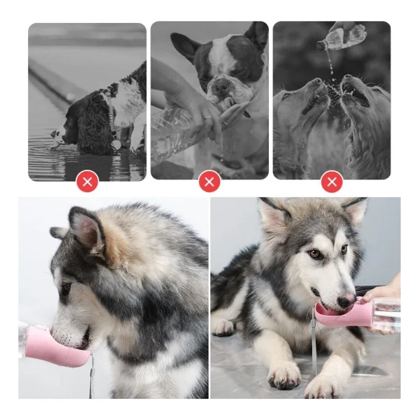 Buffer Taşınabilir Mama Hazneli Evcil Hayvan Suluğu Seyahat Kabı Kilitlenebilen Su Sızdırmaz 380ml - 190 X 220 Cm - Görsel 2