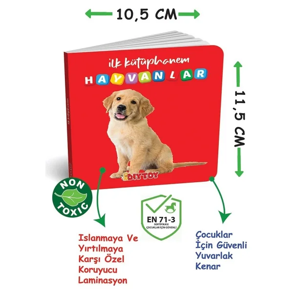 Diytoy 2090 Ilk Sözcükler 8'li Eğitici Kitap Seti - Görsel 7