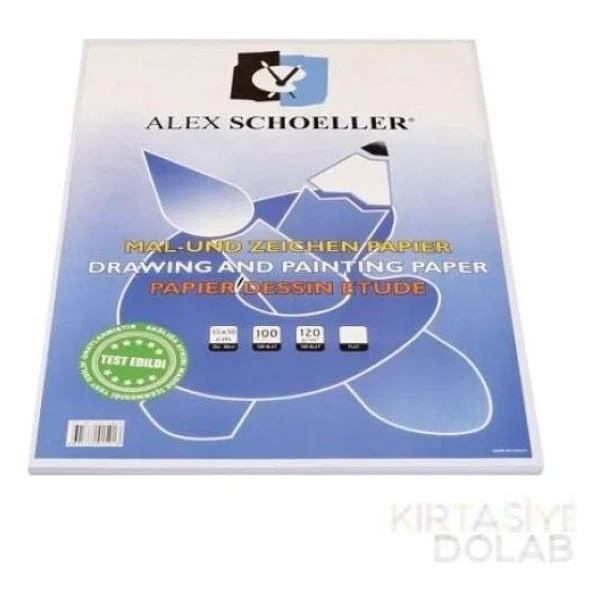 Alex Schoeller 35x50 120 Gr 100 Yaprak Resim Kağıdı - Görsel 6