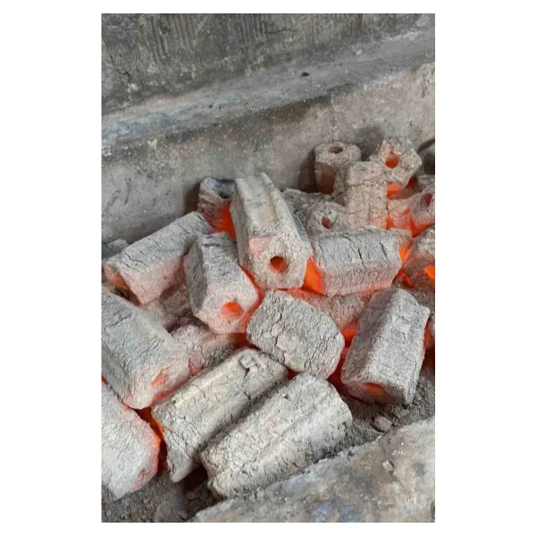 Tezyak Profesyonel Tek Kibritle Yanan Yeni Nesil Mangal Kömürü (2 Kg X 10 Paket) 20 Kg - Görsel 3