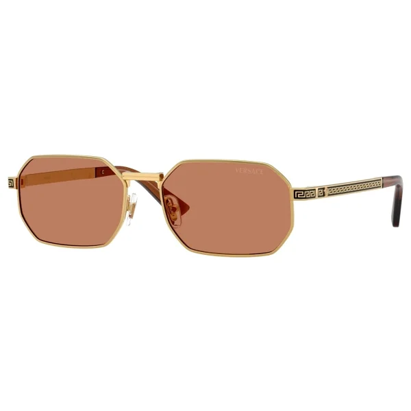 Versace Ve2297 100273 Gold-Brown Erkek Güneş Gözlüğü - Görsel 2
