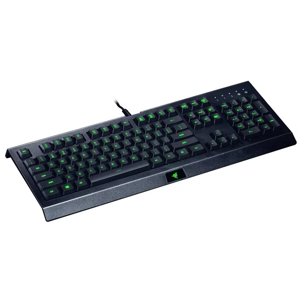 Razer Cynosa Lite RGB Kablolu Oyuncu Klavyesi - Görsel 2