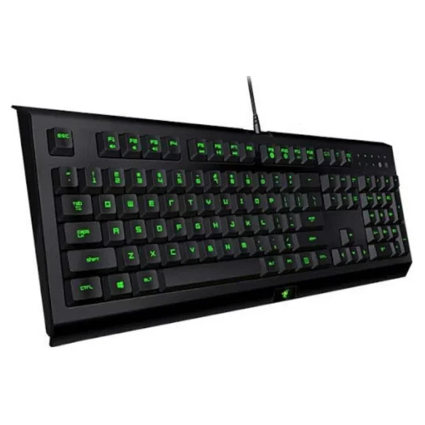 Razer Cynosa Lite RGB Kablolu Oyuncu Klavyesi - Görsel 4