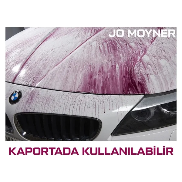 Jo Moyner Araç Demir Tozu Temizleyici Jant Temizleyici Kaporta Temizleyici 750ml Özel Gösterge Şişeli - Görsel 3
