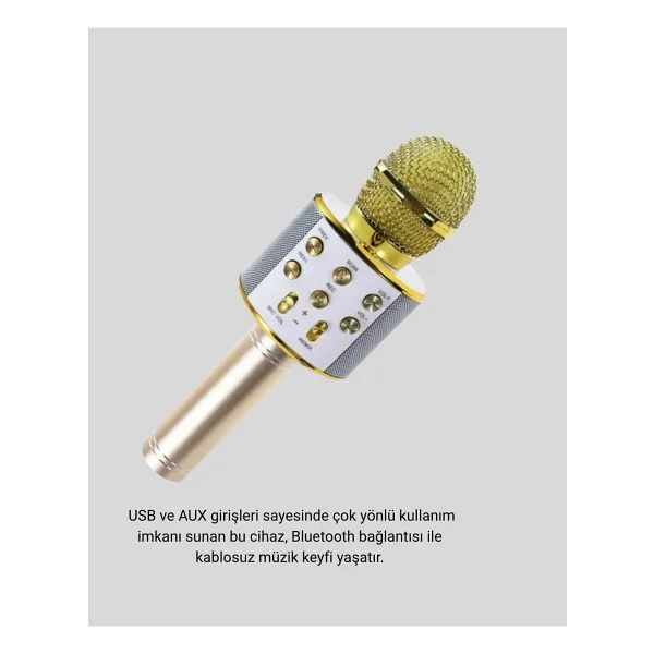Mey İthalat Kablosuz Karaoke Mikrofon USB Aux Destekli Parti Ve Eğlence İçin - Görsel 3