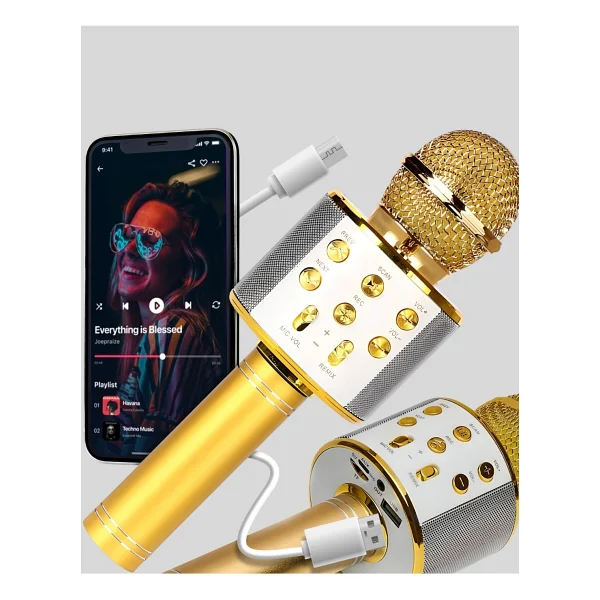 Mey İthalat Kablosuz Karaoke Mikrofon USB Aux Destekli Parti Ve Eğlence İçin - Görsel 4