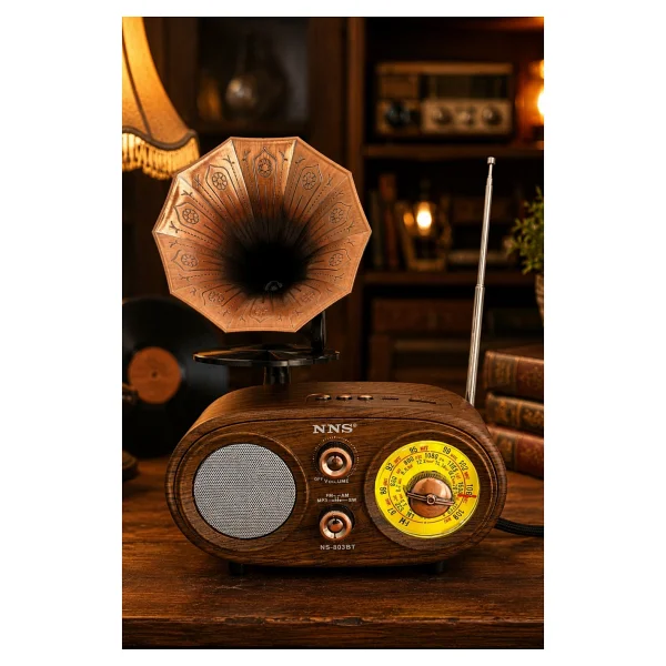 Nns Ns803bt Kahverengi Nostaljik Radyo - Görsel 2