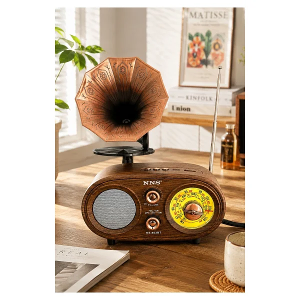 Nns Ns803bt Kahverengi Nostaljik Radyo - Görsel 4