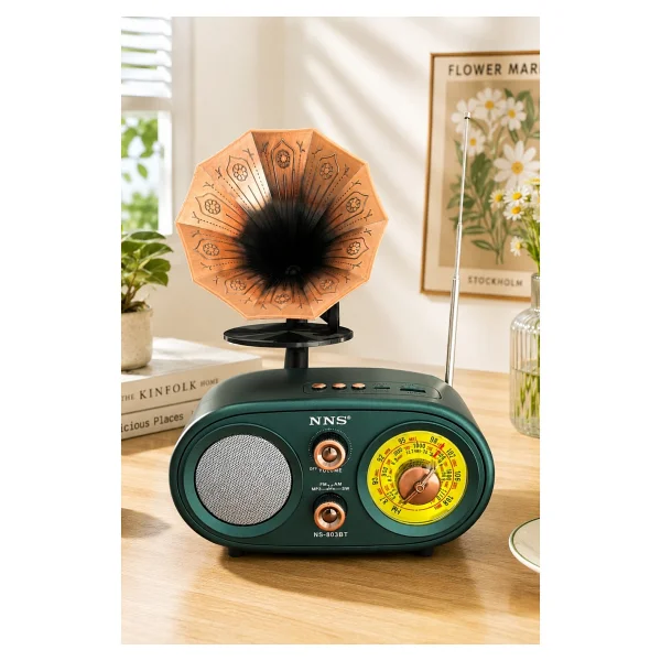 Nns Ns803bt Kahverengi Nostaljik Radyo - Görsel 7