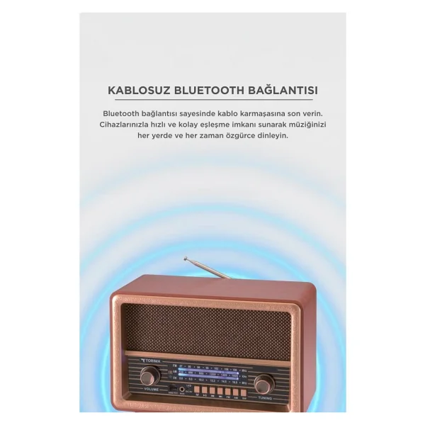 Torima D56 Ahşap Nostaljik Radyo - Görsel 2