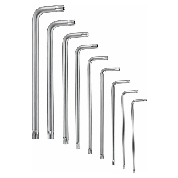 Bosch Profesyonel Alyan Takımı Torx 9 Parça - Görsel 7
