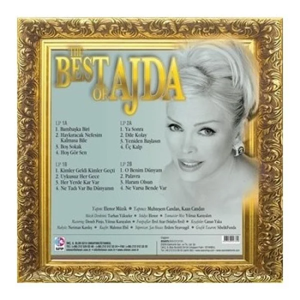 Ajda Pekkan - The Best Of Ajda Plak (2lp) - Görsel 2