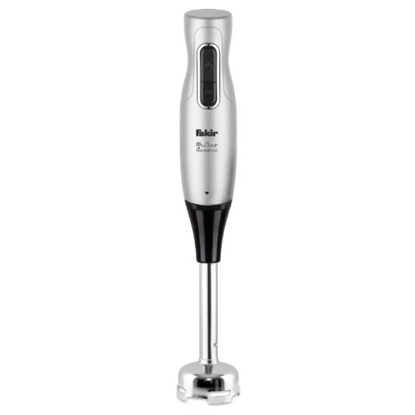 Fakir Mr.Chef Quadro Silver Stone 1000 W Blender Seti - Görsel 10