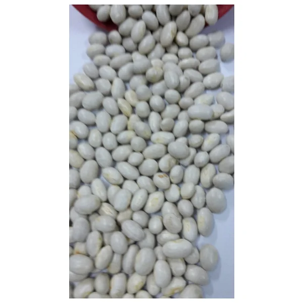 Erzurum Yöresel Gıda Ispir Şeker Fasulyesi 1 Kg - Görsel 2
