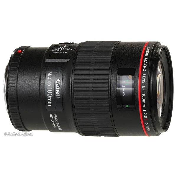 Canon Ef 100mm F/2.8l Macro Is Usm Lens - Görsel 9