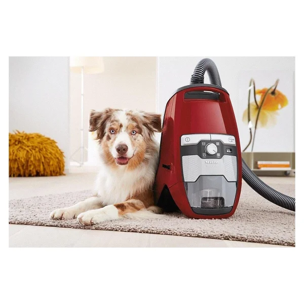 Miele Blizzard Cx1 Cat Dog Powerline Skcf3 890 W Toz Torbasız Süpürge - Görsel 8