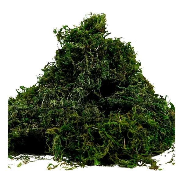 Bitkicim Canlı Sphagnum Peat Moss 1lt. Orkide Toprağı (Spagnum Yosunu) 1.Kalite Yesil - Görsel 4