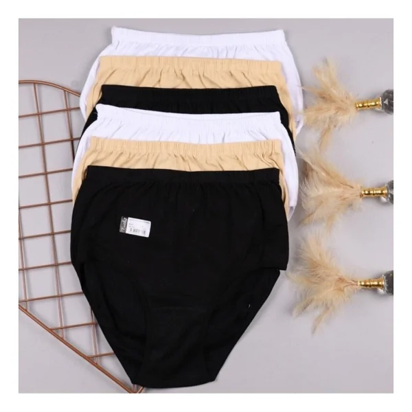 Tutku Bayan 6 Lı Paket 922 Pamuklu Yüksek Bel Ribana Bato Külot - Beyaz - 3xl - Görsel 7