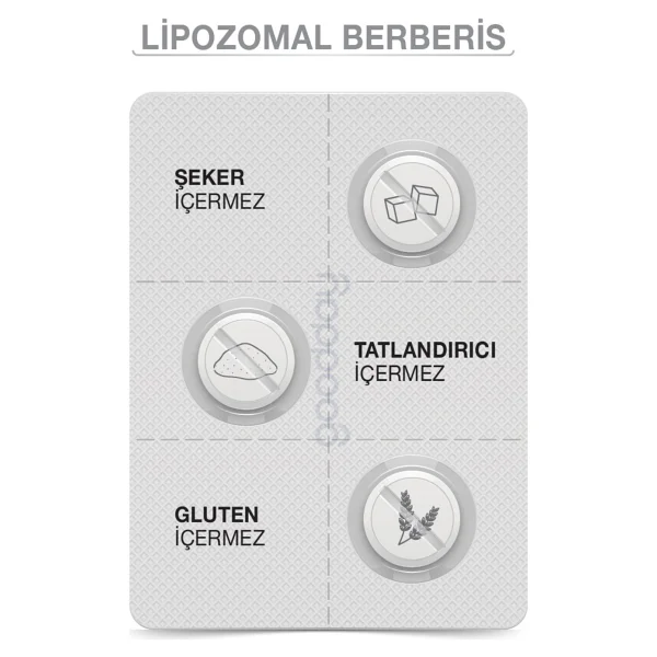 Goodday Lipozamal Berberis 60 Tablet - Görsel 10