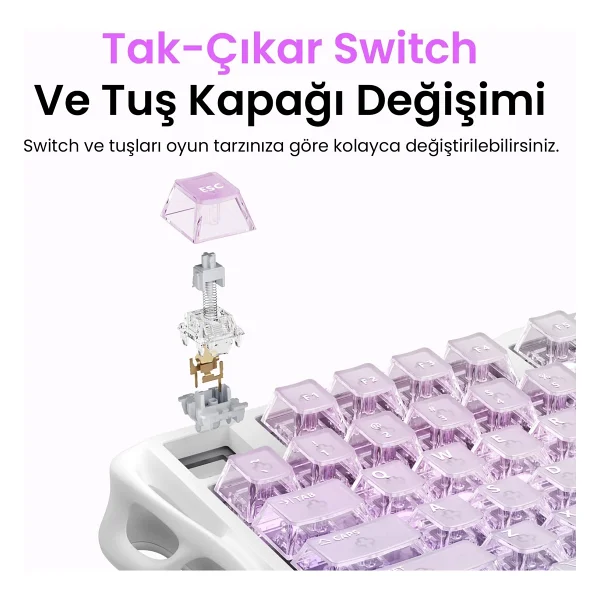 Gravastar Mercury K1 Lite Transparent RGB %75 Tkl Gravastar X Bsun Switch Kablolu/Kablosuz Mekanik Oyuncu Klavyesi - Görsel 3