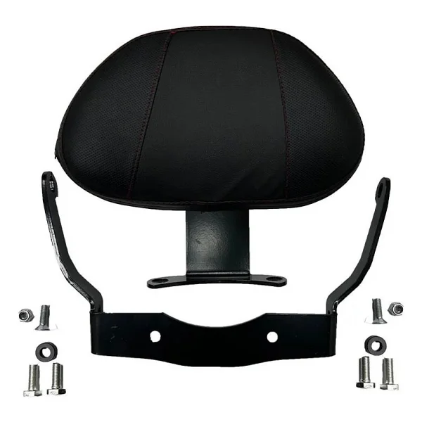 Gogo Premium Honda Forza 250 2023 - 2024 Uyumlu Sissy Bar - Görsel 3