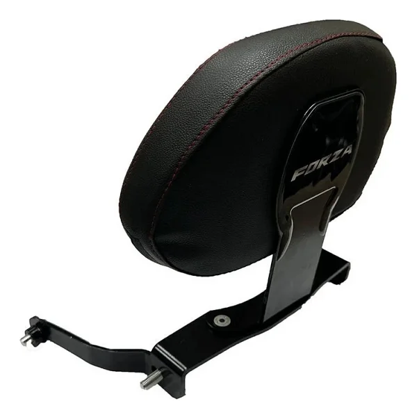 Gogo Premium Honda Forza 250 2023 - 2024 Uyumlu Sissy Bar - Görsel 2