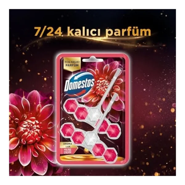 Domestos Wc Block Aroma Yıldız Çiçeği 2 X 50g - Görsel 2