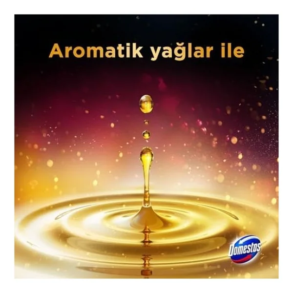 Domestos Wc Block Aroma Yıldız Çiçeği 2 X 50g - Görsel 3