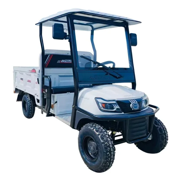 Arora Polo Farm 2000 W 4 Tekerlekli Elektrikli Motosiklet - Görsel 3