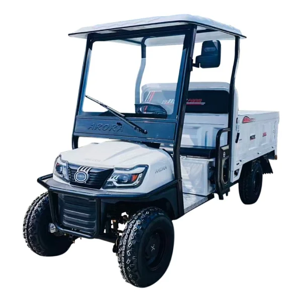 Arora Polo Farm 2000 W 4 Tekerlekli Elektrikli Motosiklet - Görsel 2
