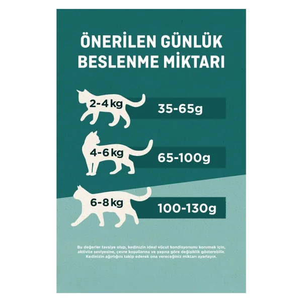 Purina One Tavuklu 1.4 Kg Yetişkin Kedi Maması - Görsel 7