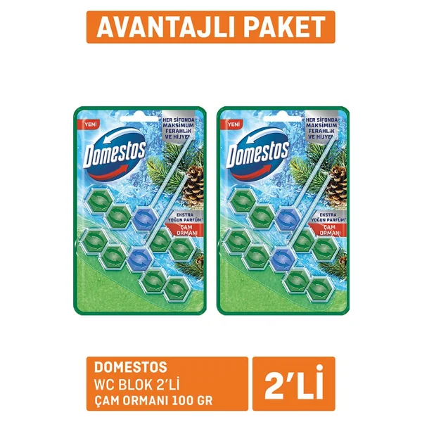 Domestos Wc Blok 2'li Çam Ferahlığı 2x100 G - Görsel 2