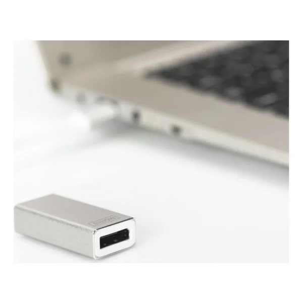 Digitus Da-70844 Type-C To Displayport Dönüştürücü - Görsel 2