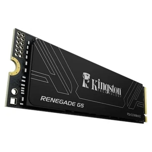 Kingston Renegade G5 Srng2s/1t0 Pcı-Express 5.0 1 TB M.2 SSD - Görsel 2