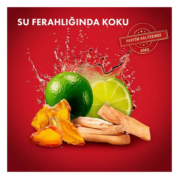 Old Spice Whitewater 70 Ml Erkek Stick Deodorant - Görsel 10