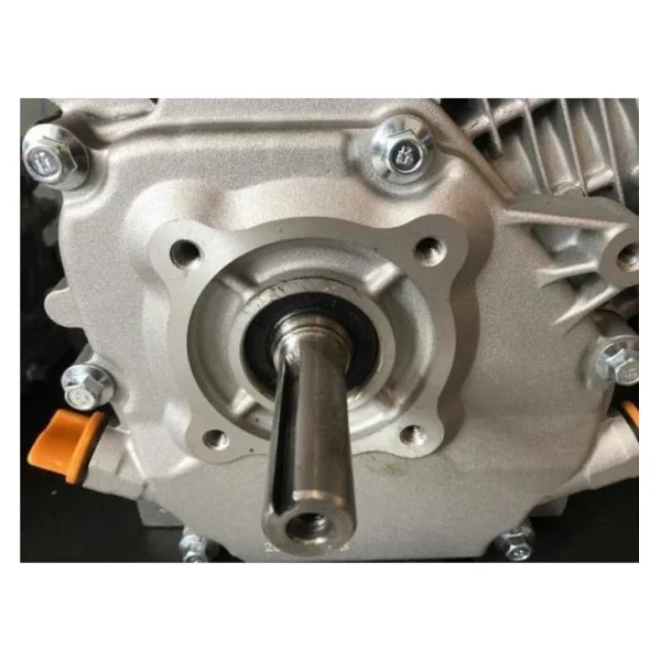 Loncin G200f-A10 Eur5 İpli 6.5 Hp Çapa Tipi 19 Mm Benzinli Motor - Görsel 2