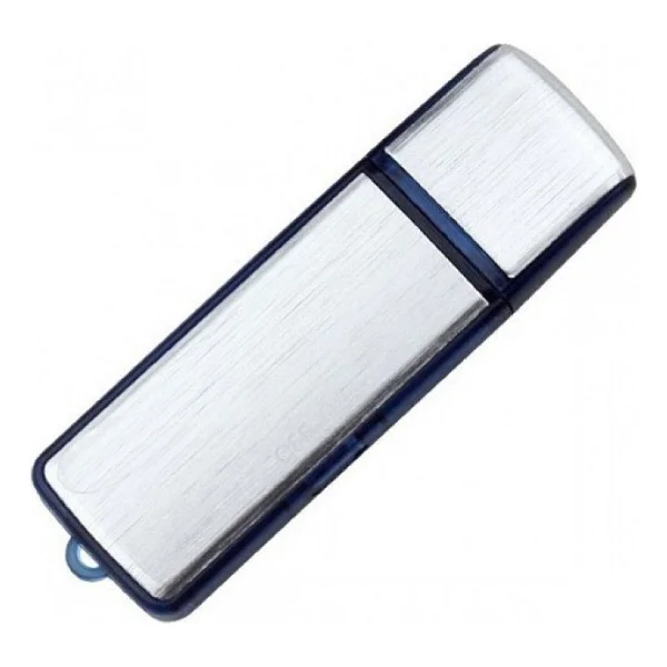 Skygo Sese Duyarlı USB Şeklinde Ses Kayıt 16 GB - Görsel 2