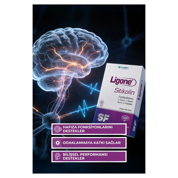 Ligone Sitikolin Fosfatidilserin 30 Kapsül - Görsel 5