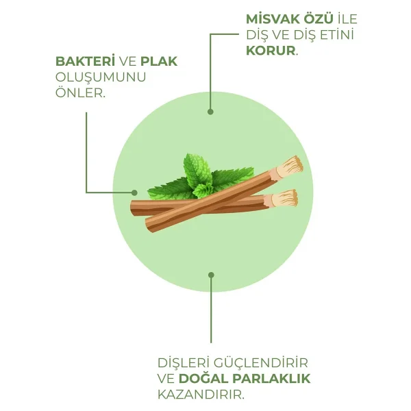 Agarta Doğal Misvak Özlü 100 ml Florürsüz Diş Macunu - Görsel 10
