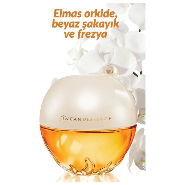 Avon Incandessence Edp 50 Ml 3 Adet Kadın Parfüm - Görsel 9