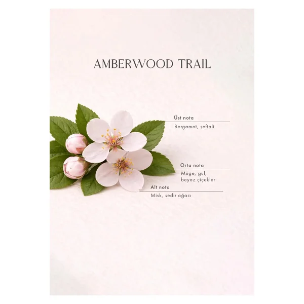 Bella Maison Amberwood Trail Oda Kokusu Sarı (100 Ml) - Görsel 3