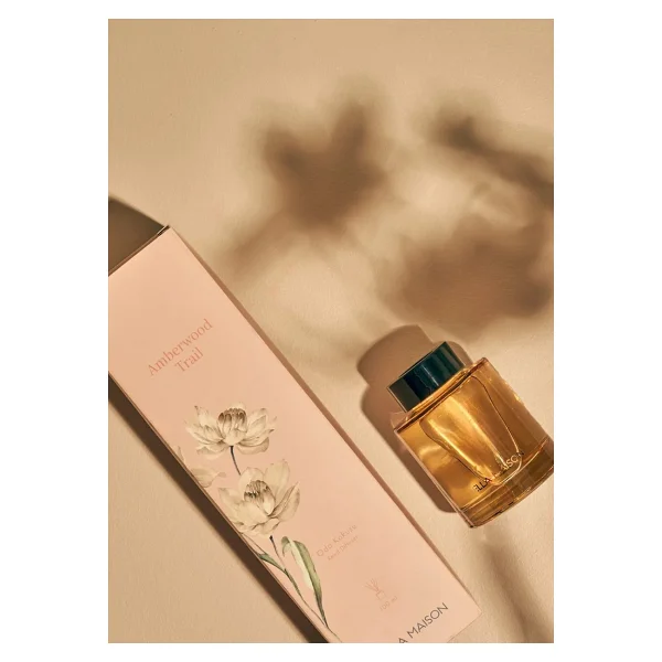 Bella Maison Amberwood Trail Oda Kokusu Sarı (100 Ml) - Görsel 5