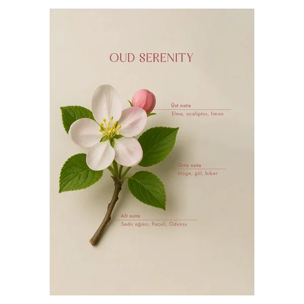 Bella Maison Oud Serenity Oda Kokusu Amber (100 Ml) - Görsel 3